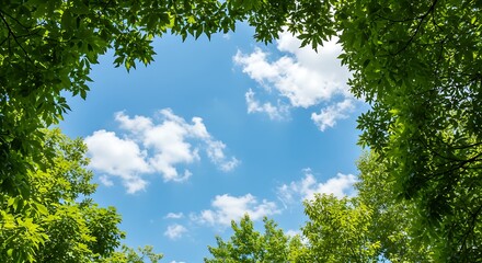 Sky through lush leaves