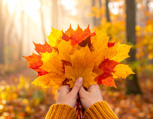 Hands Holding Autumn Leaves
