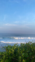 wide view of sea waves from the top of the hill bush with blue sky and thin clouds