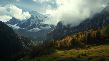 Fototapeta premium green field and blue sky. field and clouds
