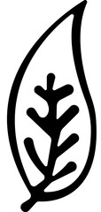 Leaves icon.Simple Black and outline leaves Silhouette Icon for Nature and Ecology Concepts.Silhouette illustrations of diverse leaf shapes on white background.
