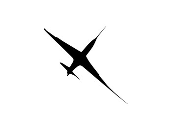 Fototapeta premium a black and white silhouette of a bird in flightbird, black, fly, plane, profile, sky, swallow 
