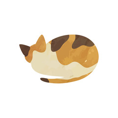 Hand-drawn vector illustration of a sleeping calico cat isolated on background.
