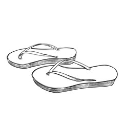 Flip Flop Sandals Hand Drawn Sketch