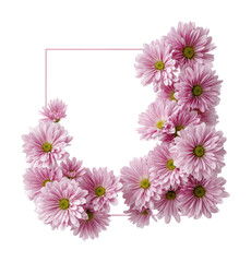 Floral arrangement with pink daisies digital bright overhead isolated on transparent background
