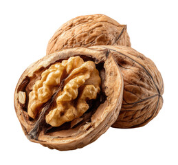 Harvesting fresh walnuts orchard food natural isolated on transparent background