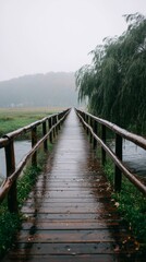 Fototapeta premium A rustic wooden bridge stretches through misty wetlands, surrounded by lush greenery and peaceful water, evoking calm and solitude.