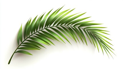 Obraz premium isolated botanical vector of a curved palm branch with gradient highlights and gentle drop shadow on blank surface