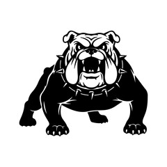 Aggressive bulldog head with transparent background