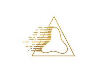 Fototapeta premium Abstract golden triangle with organic shape and motion effect.