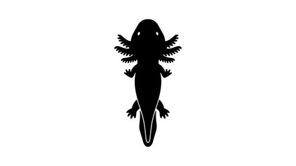 Axolotl silhouette with transparent background