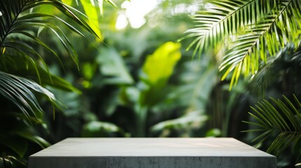 Fototapeta premium low-angle view of smooth concrete podium surrounded by blurred palm fronds and banana leaves in vibrant tropical garden