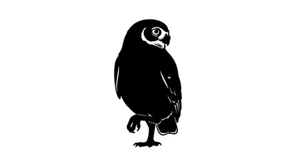 Black owl silhouette with transparent background