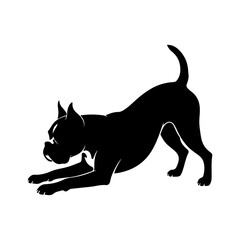 Boxer dog stretching with transparent background
