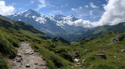 Alpine meadow path leads to snow-capped mountains under a partly cloudy sky