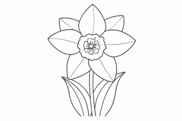 Printable Daffodil Coloring Page  Floral Line Art Sketch
