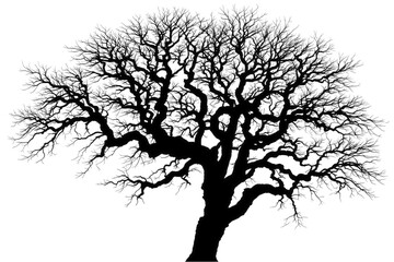 Bare Tree Silhouette: Winter Tree Branches Against isolated on transparent white background, PNG, Black and White Tree Illustration, Nature Photography