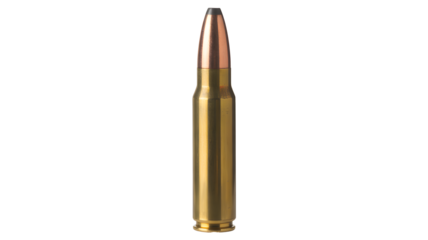 Precision brass cartridge with copper projectile ready for action