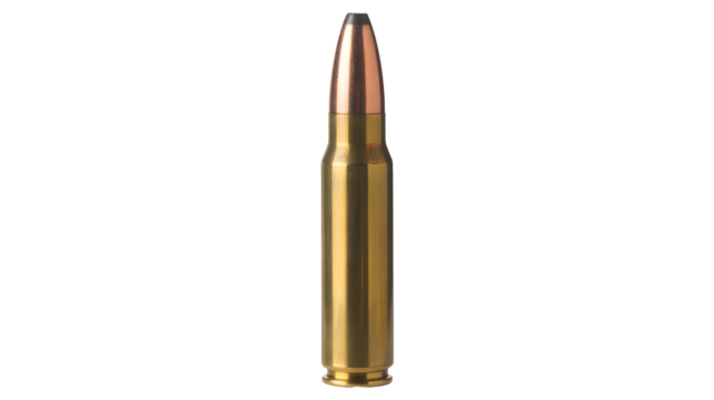 Precision brass cartridge with copper projectile ready for action