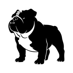 English bulldog silhouette with transparent background