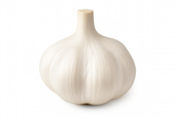Single garlic bulb on a transparent background, ready to add flavor and aroma to any culinary creation