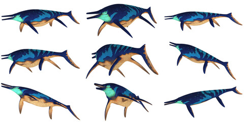 Colorful ichthyosaur models displayed in various poses.