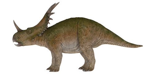 Illustration of an adult dinosaur with horns