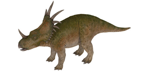 Detailed illustration of a triceratops dinosaur.