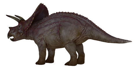 Realistic depiction of a Triceratops dinosaur