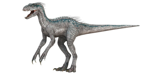 Detailed raptor dinosaur with open mouth stance.