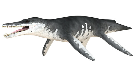 Realistic depiction of a prehistoric sea creature.