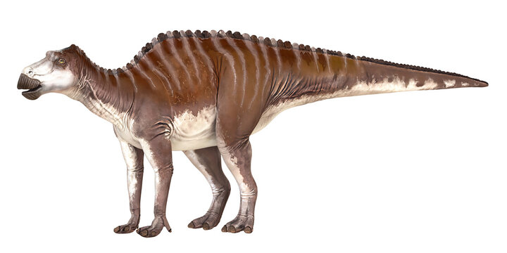 Detailed rendering of a Hadrosaurus dinosaur.