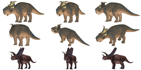 Illustrated horned dinosaurs in various poses