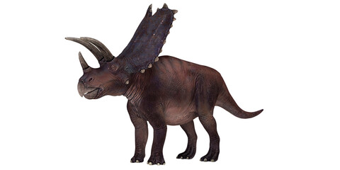 Fototapeta premium Regal Triceratops dinosaur stands majestically.