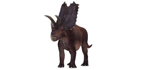Majestic triceratops dinosaur figurine display. © Ilie