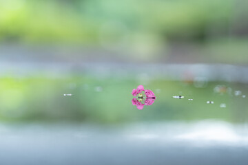 リフレクション