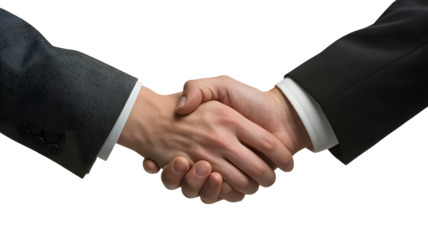 Confident business partners sealing a deal with a firm handshake in a professional setting