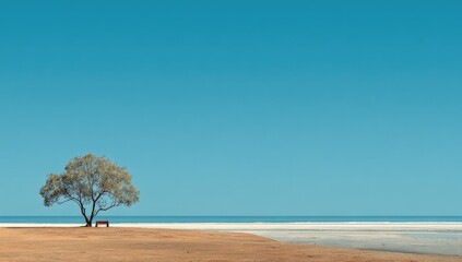 Lone Tree in a Desert Landscape