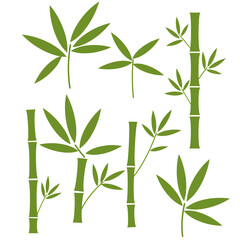 Collection of Bamboo Silhouettes Green Bamboo Leaves and Stems Vector Illustration
