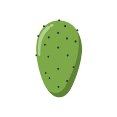 Fresh Green Cactus Fruit Illustration Prickly Pear Icon Graphic