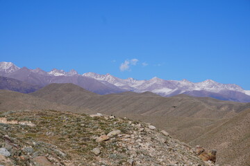 A wide view of rocky hills and distant snow-capped mountains under a clear blue sky. Sparse vegetation and scattered stones cover the foreground terrain.