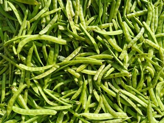 selective image of guar or cluster bean in dish also known in india as guwar, guar bean or cluster bean with the botanical name Cyamopsis tetragonoloba. Close up 