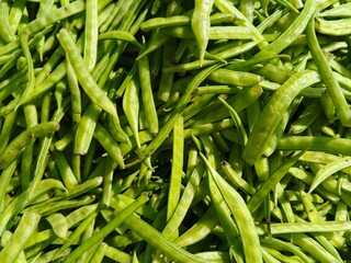 selective image of guar or cluster bean in dish also known in india as guwar, guar bean or cluster bean with the botanical name Cyamopsis tetragonoloba. Close up 