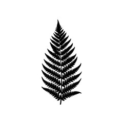 Naklejka premium Silhouette fern leaf art on transparent background