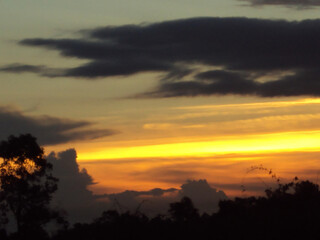 A dramatic sunset paints the sky with brilliant yellow and orange hues above a dark treeline silhouette.