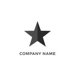 Elegant Star Logo Design for Modern Business Branding and Visual Identity.
