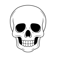 Hand-drawn skull outline. This simple, black and white vector art is ideal for coloring pages, spooky themes, and unique design projects.
