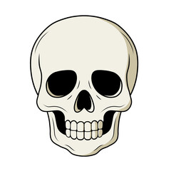 Detailed vector illustration of a human skull, perfect for Halloween, gothic themes, and tattoo designs. A classic style for prints, apparel, and creative projects.