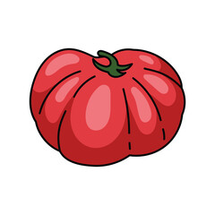 tomato illustration