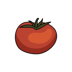 tomato illustration
